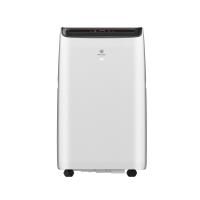 Мобильный кондиционер cерии LARGO PRO RM-LP50CN-E