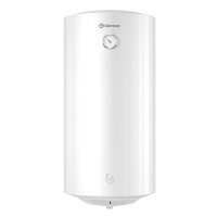 Водонагреватель электрический аккумуляционный бытовой THERMEX Evika 100 V